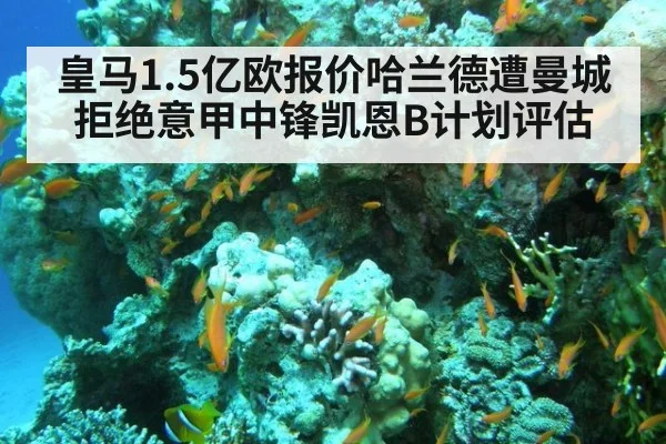 皇马1.5亿欧报价哈兰德遭曼城拒绝意甲中锋凯恩B计划评估