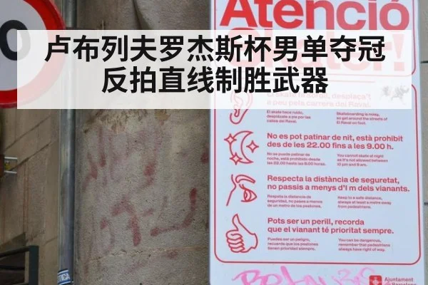 卢布列夫罗杰斯杯男单夺冠 反拍直线制胜武器