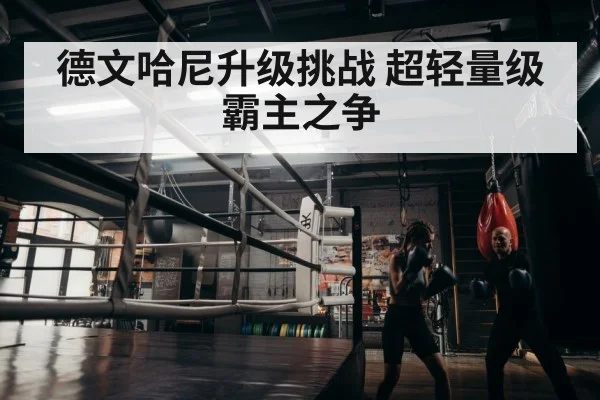 boxer training